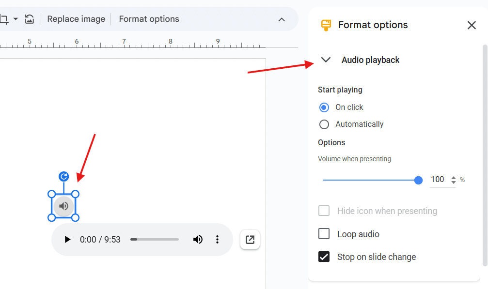 Set Playback Options