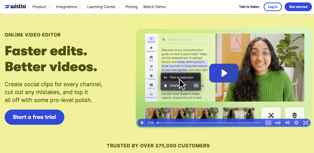 wistia text based video editor